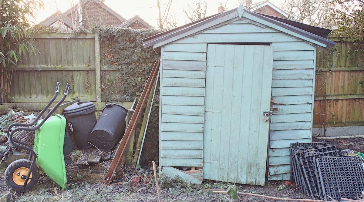 Shed Removal