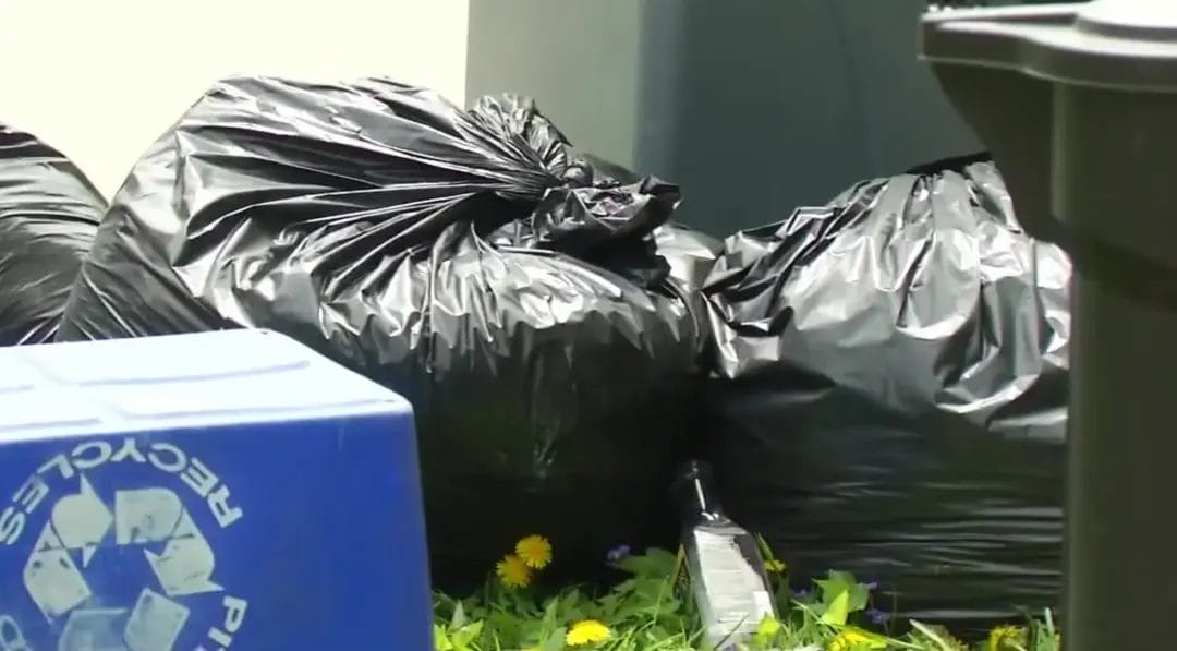 Black garbage bags and a tipped recycling bin sitting on grass