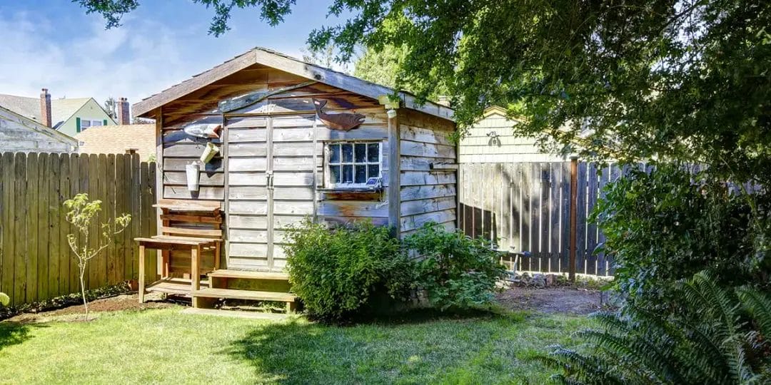 Small weathered wooden shed in a backyard surrounded by greenery