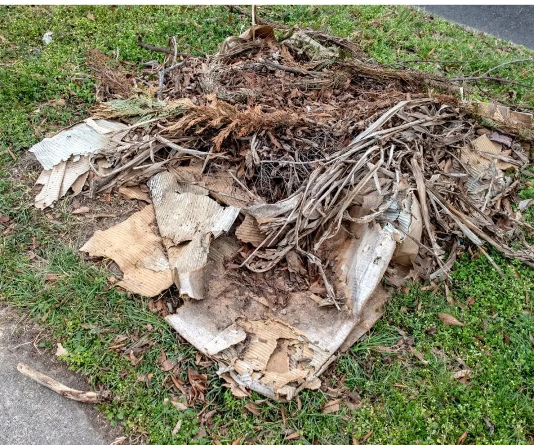 Pile of yard waste and cardboard dumped on a grassy curb